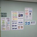 강동구 다이어트 추천 | 브레인톡 뇌파검사와 체온 테라피 후기