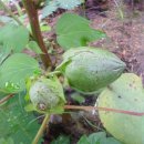 기계중학교상옥분교장 이미지