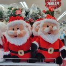 다이소 대전한밭대점 이미지