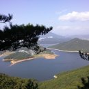 김봉수 농장 이미지