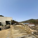 현덕로 | [경기 평택 현덕 감성카페] 이 풍경을 보려고 드라이브한 보람 있었다 — 평택 대형 카페 시숲