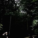 리디안 뮤직(lydianmusic) 이미지