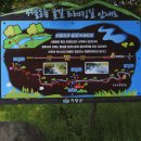 8월 정기산행 거창 수승대 출렁다리 및 월성계곡 트레킹 입니다 이미지