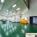 대저중앙로 이미지