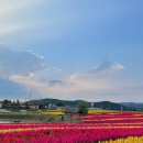 동신미곡처리장 이미지