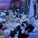 길동게임랜드 | 서면 다시는 인형뽑기 하러 안 가... | 부산 일대 인형뽑기 | 하루에 12만원 쓴 사람 여기저기 비추 후기