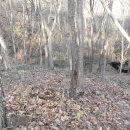 영심농장 이미지