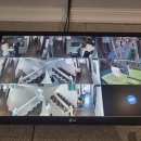 오드스테이 이미지