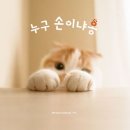 마성작은도서관 이미지