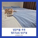 이불마트 - 보성군 월곡길 9 | [여름이불 추천] 헬로우 슬립 듀라론 냉감 옥수수솜 차렵이불 솔직 후기