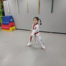 경희대석사왕호태권도장 이미지