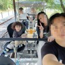 청도레일바이크 | 청도레일바이크 반려동물 동반가능 할인정보