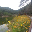 지장보건진료소 이미지