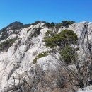 영남알프스 등산코스 : 백운산-가지산