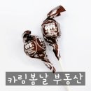 에디슨부동산공인중개사사무소 | 청계동 카림1차 맛집,백채김치찌개