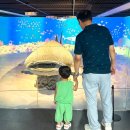 금강카아트 | 부산 해양자연사박물관 들락날락 예약 주차 무료관람 후기