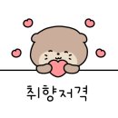 디비스튜디오