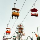 눈으로보는세상 이미지