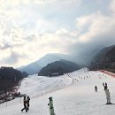 국가대표펜션 | 겨울의 낭만을 책임지는 곳! 무주스키샵 국가대표렌탈샵 방문 후기