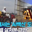 아직 소.돼지고기에만 mrna 백신 맞추는듯 이미지