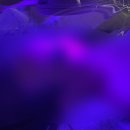 오로라피부관리실