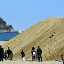 모래 한국일보