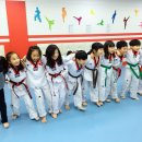 반송월드태권도 이미지