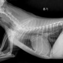 노은동물병원 이미지