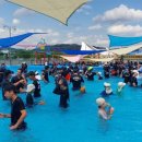 낙동강변8 이미지