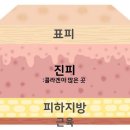피부미용기술관리센터