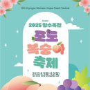 포도모텔 | 2025 향수 옥천 포도 복숭아 축제 일정