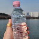 지리산수 무라벨 쿠팡핫딜 내돈내산 후기