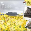 스타벅스성산일출봉점