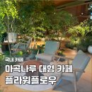 카페트리니티 | 마곡나루 신상 대형카페 플라워플로우 소노트리니티 카공·노트북 카페 추천 후기