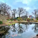 동백V-TOWN | #240202 네덜란드 여행 - 레이던, Hortus Botanicus Leiden