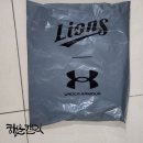 솔원정 | [내돈내산]삼성라이온즈어센틱샵: 삼성라이온즈X언더아머 어센틱 원정 유니폼 구매후기(30.김영웅 마킹)