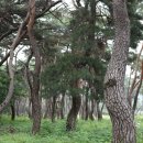 삼능
