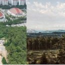 (재)성산공원 한국일보