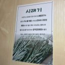 의림대로2길 | 맛집 ] 제천역 근처 허영만의백반기행 나온 시래기밥 현지인맛집 제천시락국 내돈내산 아침식사 추천후기