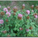 현진주유소 이미지