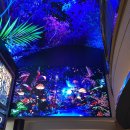 오아시스 | 인스파이어리조트 포레스트동 트윈룸 오아시스고메빌리지 후기