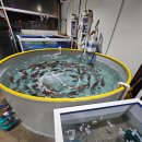 대한수산 이미지