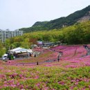 불암산나비정원 이미지
