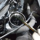 D.S모터스 이미지