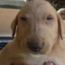 돈워리비해피 이미지