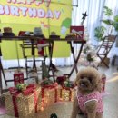 합천생고깃집 | 마지막 블챌 써보자~