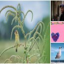 나의메이드 | 핸드메이드 만들기 후기 나의 첫 작품 소개