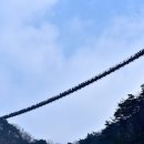 (구)보건소사거리2(하나은행앞) 이미지