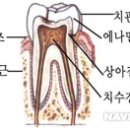 서울바로치과 이미지