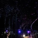 SK은하수주유소 이미지